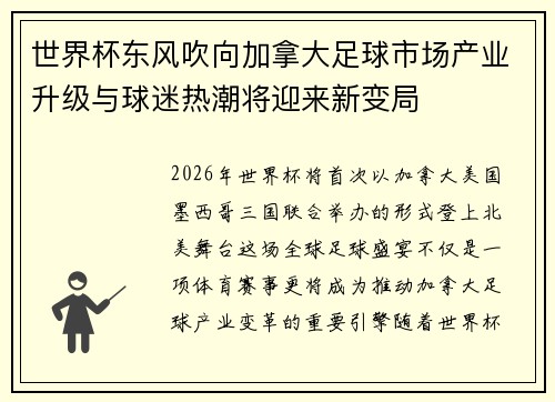 世界杯东风吹向加拿大足球市场产业升级与球迷热潮将迎来新变局